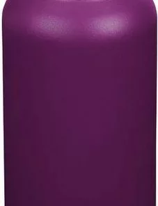 Kopen β€οΈ Klean Kanteen Classic - 800ml - Sport Cap - Purple Potion β€οΈ