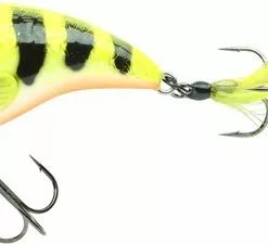 Nieuw 🤩 Spro - Fat Iris | Plug | Shining Roach | 6cm | 17g - Roach 🎁 -Kamperen-outdoor Verkoopwinkel 550x225 1