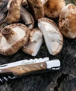 Goedkoopste π Laguiole Style De Vie Zakmes - Met Kurkentrekker - In Giftbox π 15 Goedkoopste π Laguiole Style De Vie Zakmes - Met Kurkentrekker - In Giftbox π -Kamperen-outdoor Verkoopwinkel 550x366 16