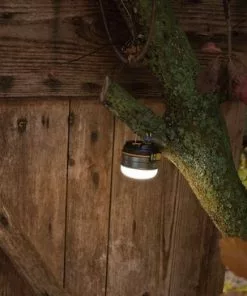 Beste Pirce π Brennenstuhl Oli 0200 Led-outdoorlamp. Geïntegreerde Li-Pol-accu. Zilver π― 38 Beste Pirce π Brennenstuhl Oli 0200 Led-outdoorlamp. Geïntegreerde Li-Pol-accu. Zilver π― -Kamperen-outdoor Verkoopwinkel 550x366 30