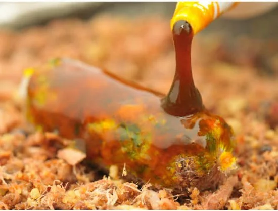 Beste deal β Korda - Goo | Almond | Power Smoke - Rood π₯ 4 Beste deal β Korda - Goo | Almond | Power Smoke - Rood π₯ - Afbeelding 4