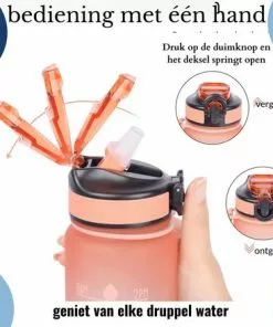 Beste Pirce ✨ Locolta Motivatie Waterfles - 1 Liter Drinkfles - Drinkfles Met Tijdsmarkering - Drinkfles Met Rietje - Lekvrije Drinkfles - Blauw Met Roos 👏 -Kamperen-outdoor Verkoopwinkel 550x440 11