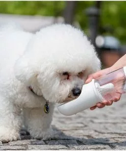 Goedkoop π LuxeBass Draagbare Drinkfles Voor Honden Met Waterdispenser Voor Huisdieren - Bidon - Honden Drinkfles - Waterfles, Reizen, Drinken Voor Drinkflessen, Voor Buiten, (wit) π 19 Goedkoop π LuxeBass Draagbare Drinkfles Voor Honden Met Waterdispenser Voor Huisdieren - Bidon - Honden Drinkfles - Waterfles, Reizen, Drinken Voor Drinkflessen, Voor Buiten, (wit) π -Kamperen-outdoor Verkoopwinkel 550x462 1