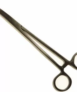 Uitgang 🛒 Albatros Kromme Adertang - 19 Cm 🧨