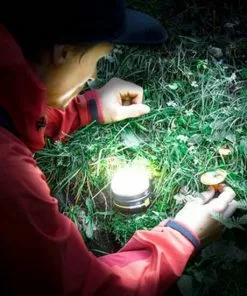 Beste Pirce π Brennenstuhl Oli 0200 Led-outdoorlamp. Geïntegreerde Li-Pol-accu. Zilver π― 45 Beste Pirce π Brennenstuhl Oli 0200 Led-outdoorlamp. Geïntegreerde Li-Pol-accu. Zilver π― -Kamperen-outdoor Verkoopwinkel 550x550 165