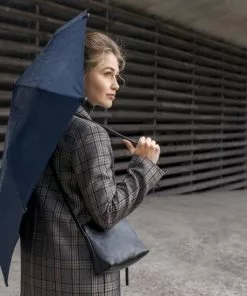 Top 10 😉 Senz° Senz Automatic Opvouwbare Stormparaplu Silk Grey 😉 -Kamperen-outdoor Verkoopwinkel 550x550 208