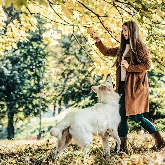 Nieuw π Grisport Sutherland Outdoorlaarzen Unisex - Chestnut - Maat 38 π 2 Nieuw π Grisport Sutherland Outdoorlaarzen Unisex - Chestnut - Maat 38 π - Afbeelding 2