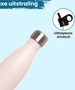 Coupon 🤩 Waterfles Met Rietje Tuit Drinkfles Theefles Volwassenen Drinktuit Sportfles 500ml Duurzaam Cadeau - VANN Thermosfles - Beige 🔥 -Kamperen-outdoor Verkoopwinkel 550x550 679