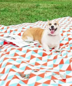 Groothandel 𧨠Sens Design XXL Waterdicht Picknickkleed – 200x200 Cm – Buitenkleed Oranje β 15 Groothandel 𧨠Sens Design XXL Waterdicht Picknickkleed – 200x200 Cm – Buitenkleed Oranje β -Kamperen-outdoor Verkoopwinkel 550x550 701