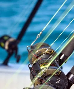 Beste Verkoop ⭐ Orange85 Visdraad - Transparant - Set Van 3 - Nylon Draad - Vislijn ⭐ -Kamperen-outdoor Verkoopwinkel 550x550 715