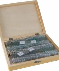 Begroting 🧨 Bresser Preparaten- Voorgeprepareerd - Geschikt Voor Doorzichtmicroscopen - 100 Stuks - Microbiologie & Celbiologie ⌛ -Kamperen-outdoor Verkoopwinkel 550x558 4