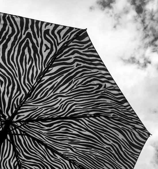 Promo π Keer Opvouwbare Paraplu Met Zebra/dieren Print π€© 3 Promo π Keer Opvouwbare Paraplu Met Zebra/dieren Print π€© - Afbeelding 3