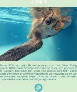 Beste recensies van ✔️ Saywhat Bottle Army Green - 500ml - Drinkfles - Waterfles - Thermosfles - Thermoskan 💯 -Kamperen-outdoor Verkoopwinkel 550x604 8