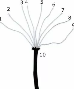 Uitgang 😍 Brute Strength Paracord - Touw - 4 Mm - 40 Meter - Zwart - 250 Kg Breekracht 👍 -Kamperen-outdoor Verkoopwinkel 550x647 2
