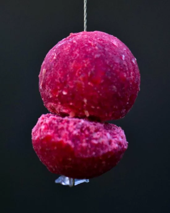 Nieuw ✨ CarpCon Boilie Stoppers - Clear - 200 Stuks (2 Rekjes) - Hair Stoppertjes - Boiliestoppers ⌛ 3 Nieuw ✨ CarpCon Boilie Stoppers - Clear - 200 Stuks (2 Rekjes) - Hair Stoppertjes - Boiliestoppers ⌛ - Afbeelding 3