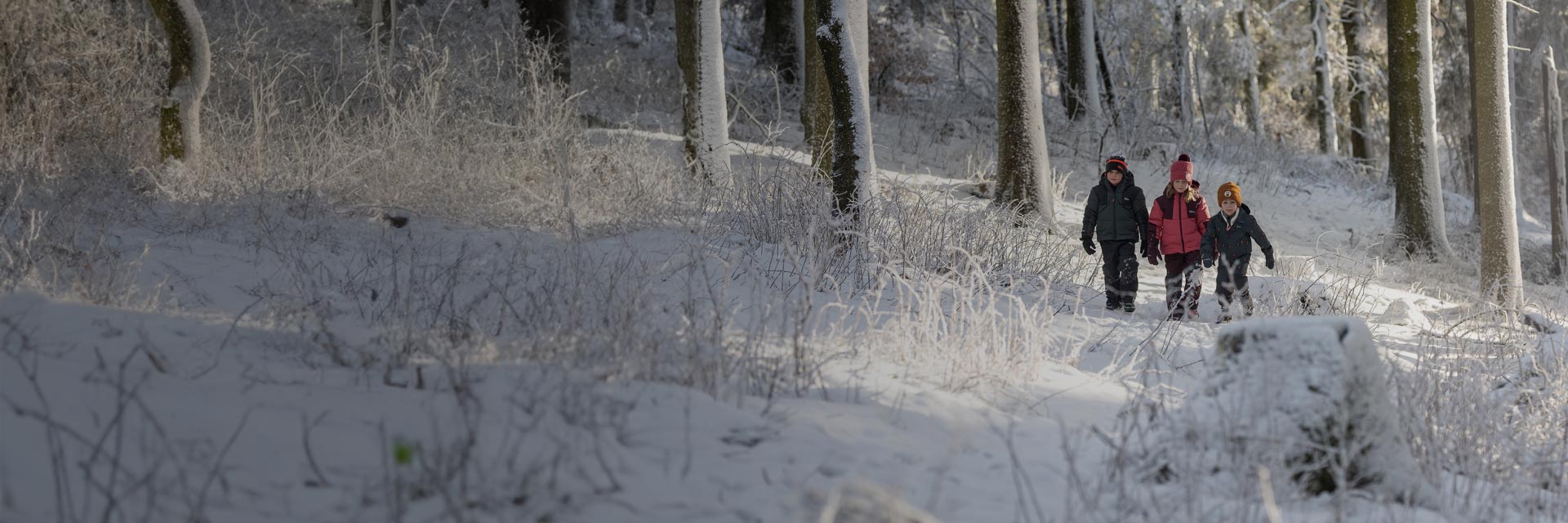 Kamperen-outdoor Verkoopwinkel 22 Kamperen-outdoor Verkoopwinkel -Kamperen-outdoor Verkoopwinkel multitopic fullwidth XL L